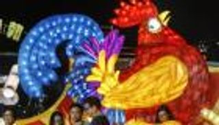  عام "الديك" بالصين .. البشارة لبوتين والويل لترامب