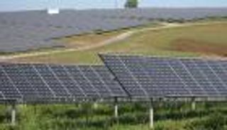 دبي تخطط لرفع مساهمة الطاقة المتجددة بأكثر من 50 %