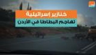 خنازير إسرائيلية تهاجم البطاطا في الأردن