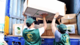 بالصور.. مركز الملك سلمان يكافح سوء تغذية الأطفال والأمهات في اليمن