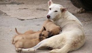 صورة أرشيفية/ رويترز