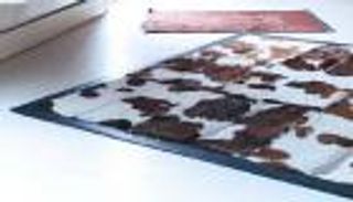 بالصور.. 4 منتجات لا يفضلها النباتيون