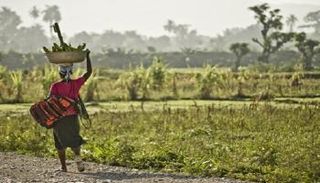مثال عن المرأة الريفية