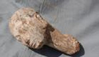 مصر.. اكتشاف رأس تمثال يعود لملكة من الأسرة السادسة