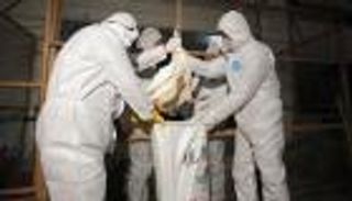 سلالة جديدة من إنفلونزا الطيور قد تتسبب في وباء عالمي