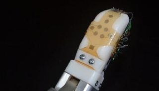 بصمة الجلد الذكي