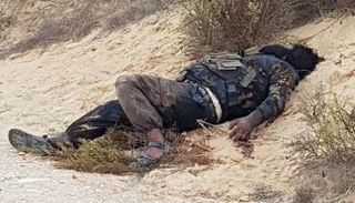 أحد العناصر الإرهابية