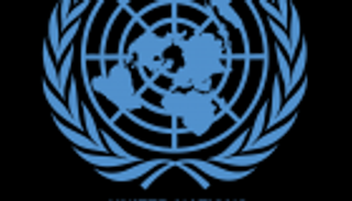 مسؤول أممي يدعو تركيا للعودة إلى الديمقراطية