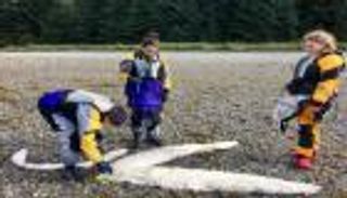 بالصور.. كائن غريب يظهر على أحد شواطئ ألاسكا