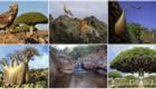 وزير السياحة اليمني لـ"بوابة العين": نأمل ضم سقطرى لمشروع "نيوم" 