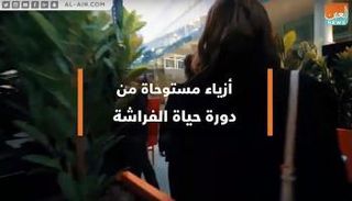 لقاء مع مصممة خريجة في "مستقبل الأزياء"