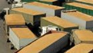 العراق يسعى لشراء 50 ألف طن قمح 