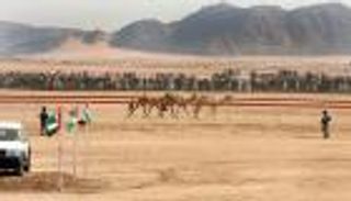 بالفيديو.. لمسات إماراتية في تطوير رياضة الهجن بوادي رم بالأردن