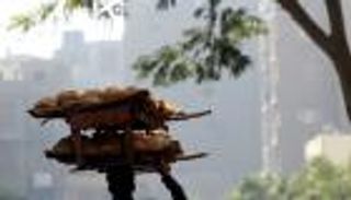 الحكومة المصرية تشتري القمح المحلي بالأسعار العالمية