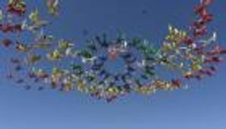 بالفيديو.. 217 من هواة القفز بالمظلات يسبحون في السماء