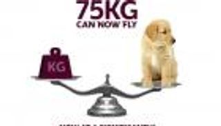 طيران قطر "يتسول" الركاب والحيوانات