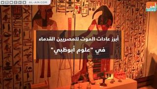 ركن المومياء المصرية