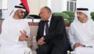 محمد بن زايد يبحث مع شكري جهود التصدي لأزمات المنطقة