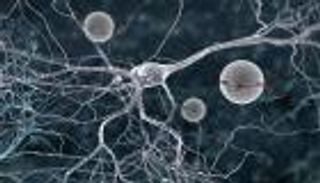 تكنولوجيا النانو تعالج ارتفاع الكوليسترول