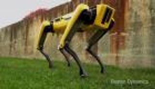 بالفيديو.. "سبوت ميني" روبوت جديد بديل للكلب المنزلي