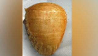 مصر تسترد قطعا أثرية من قبرص