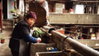 الصين.. حي ديجيتال بدعم من الشركة المصنعة لـ"آي فون"