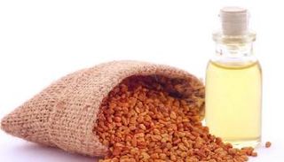 بذور الحلبة الحل الأمثل لبشرة نضرة وشعر صحي