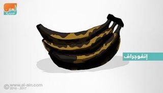 الموز الأسود أكثر فائدة من نظيره الأصفر