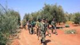 الحرب تُدمّر 27 مليون شجرة في سوريا 