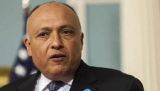 وزير الخارجية المصري سامح شكري