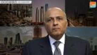 شكري لـ"سي إن إن": هجوم الروضة إرهابي بربري وغير إنساني