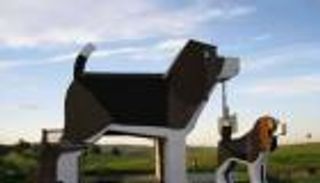 بالصور.. فندق على هيئة كلب.. جديد تكساس