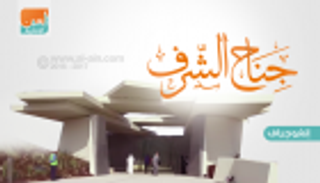 إنفوجراف.. "جناح الشرف" جدارية فخر بواحة الكرامة في أبوظبي 