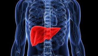 أمراض الكبد السبب الرئيسي للوفاة المبكرة