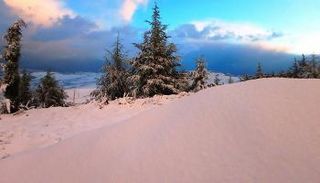 مدن جزائرية تكتسي بالأبيض