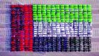 شرطة دبي تدخل "جينيس" بأكبر علم للإمارات بالسيارات