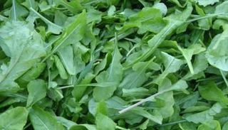 جربي علاج ماسك الجرجير للشعر