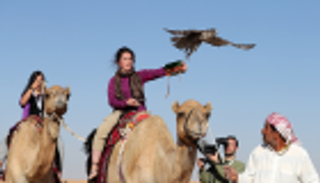 مهرجان "البيزرة" الدولي ينطق الجمعة في أبوظبي