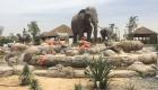 الافتتاح التجريبي لسفاري دبي الثلاثاء المقبل 