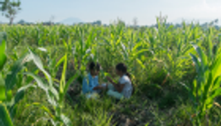 "المرئي واللامرئي".. احتفاء بالحب الإندونيسي في "دبي السينمائي"