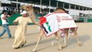 مهرجان الظفرة ينطلق في 14 ديسمبر بأبوظبي