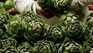 7 فوائد صحية للخرشوف