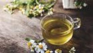 البابونج ..أفضل علاج للمعدة