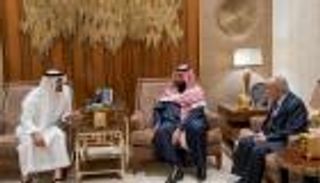 محمد بن زايد ومحمد بن سلمان يبحثان الوضع في اليمن بحضور حزب التجمع