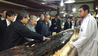  تشوشي داتي يتفقد مشروع ترميم مركب خوفو الثانية