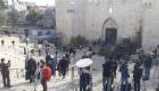 باب العامود.. قلب القدس وقلعة غضبها