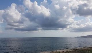 مشهد من شاطئ في الإمارات