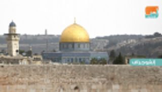 الجامعة العربية: وعد ترامب لن يمر مثل وعد بلفور