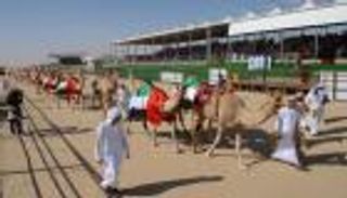 "مهرجان الظفرة" يستضيف وفدًا من السفراء المعتمدين لدى الإمارات