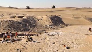 برنامج "دبي قبل الميلاد"يكشف الوجه الحضاري للإمارة